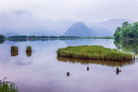 神農架有哪些藥草：深山藏珍，草本傳奇